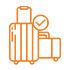 baggage 70x70